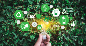 BIM développement durable